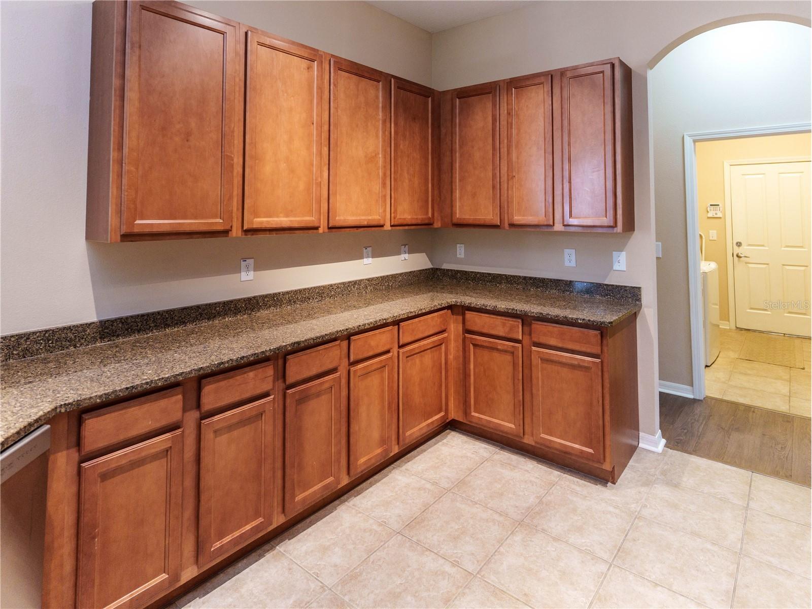 13733 Covey Run Place Spring Hill FL 34609 W7886323 image26