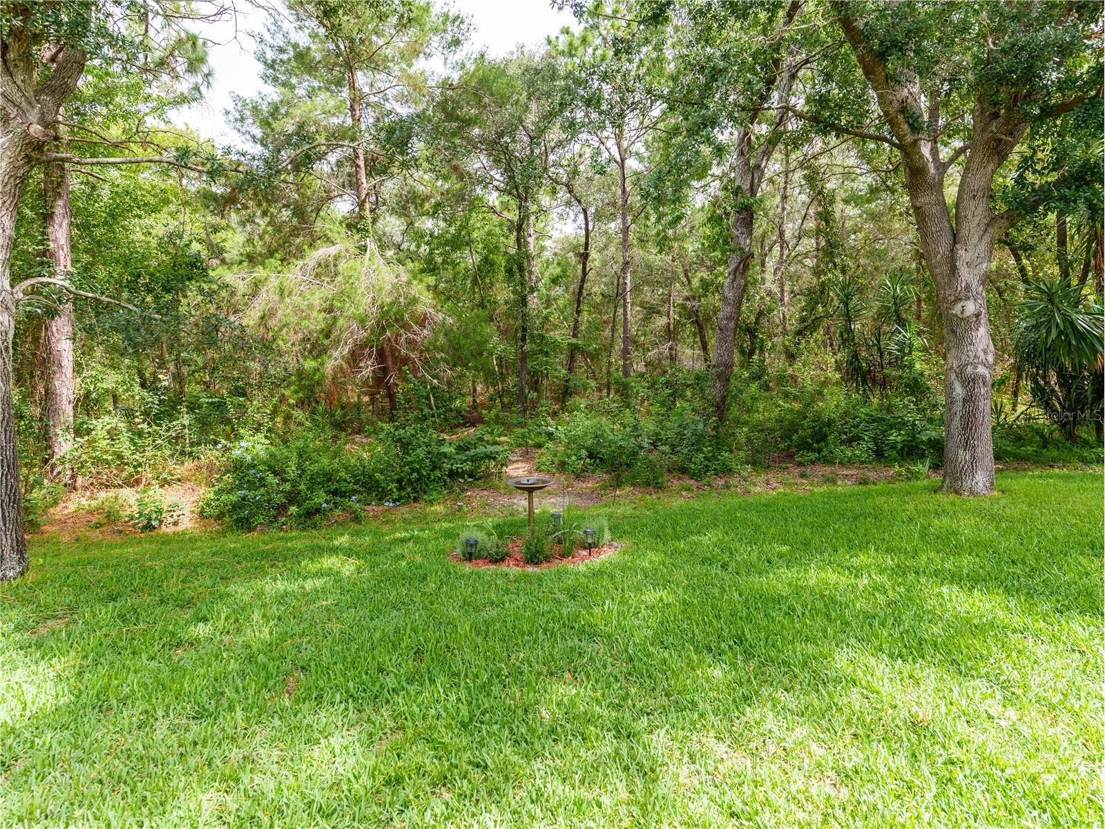 13733 Covey Run Place Spring Hill FL 34609 W7886323 image44