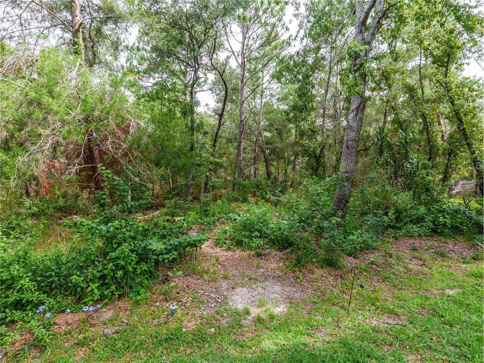 13733 Covey Run Place Spring Hill FL 34609 W7886323 image46