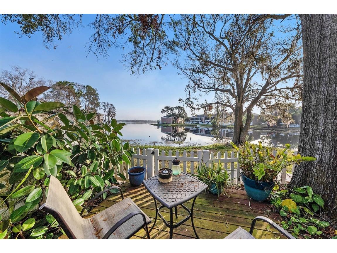 13733 Juniper Blossom Drive Tampa FL 33618 - LAKE MAGDALENE TB8347844 image1