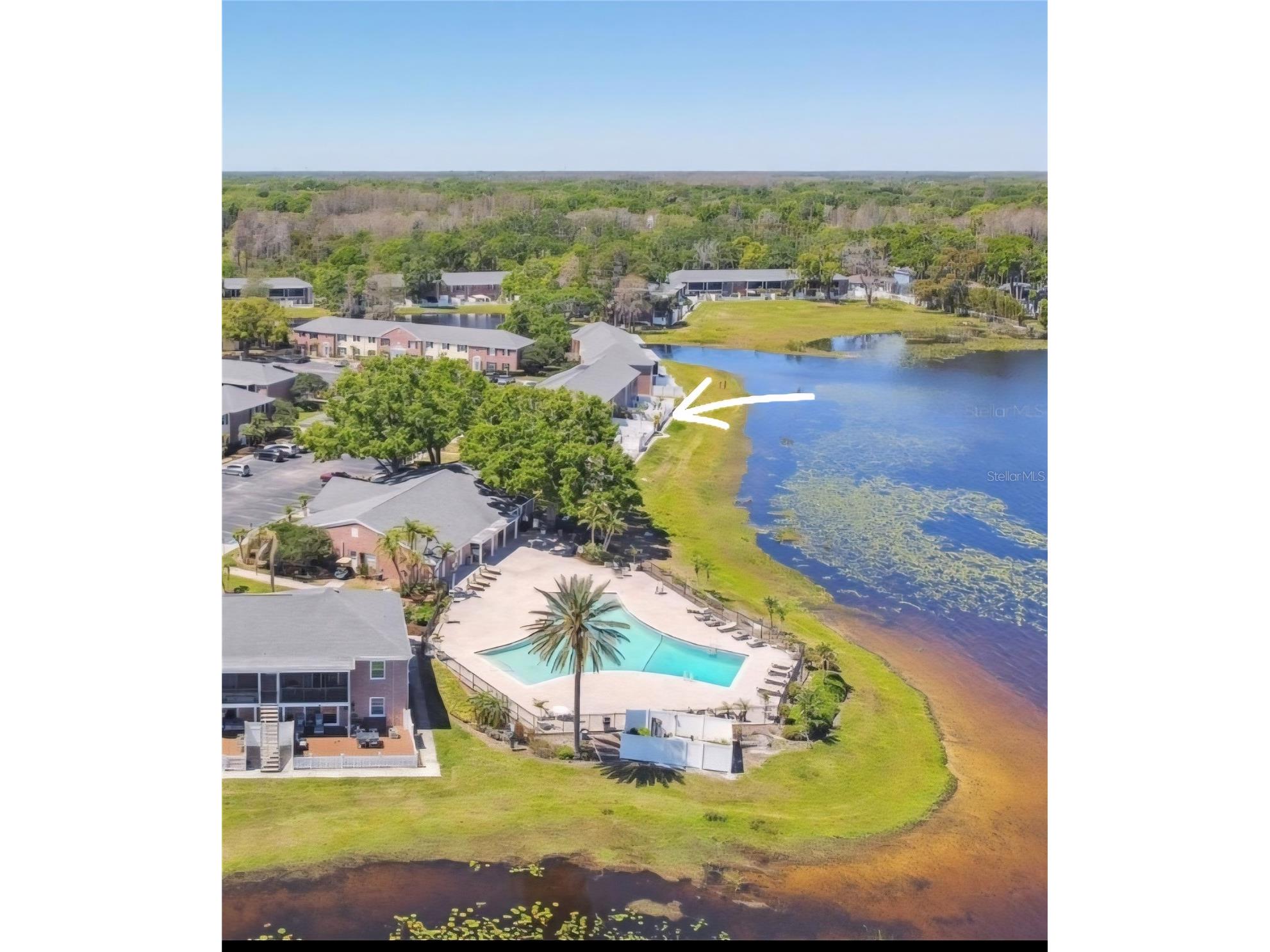 13734 Orange Sunset Drive Tampa FL 33618 - LAKE MAGDALENE TB8477492 image25