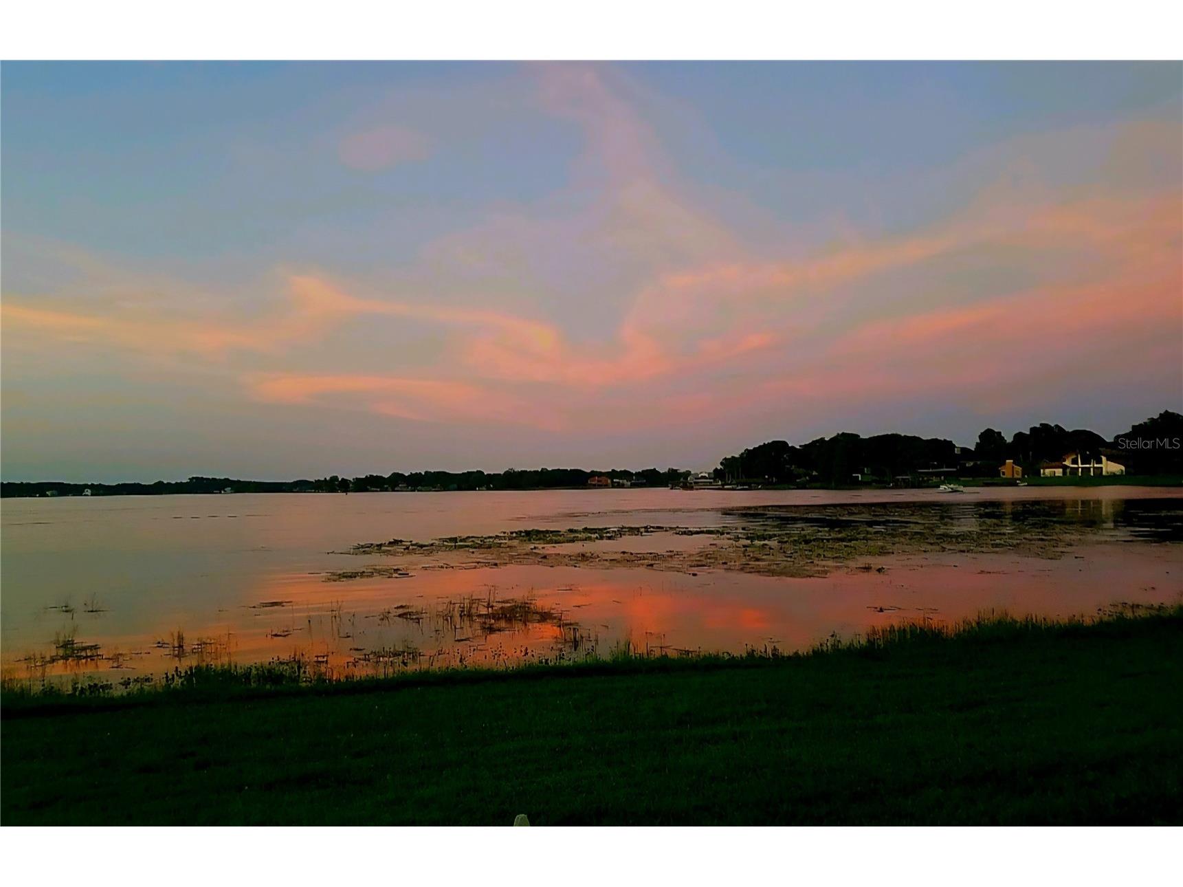 13734 Orange Sunset Drive Tampa FL 33618 - LAKE MAGDALENE TB8477492 image4