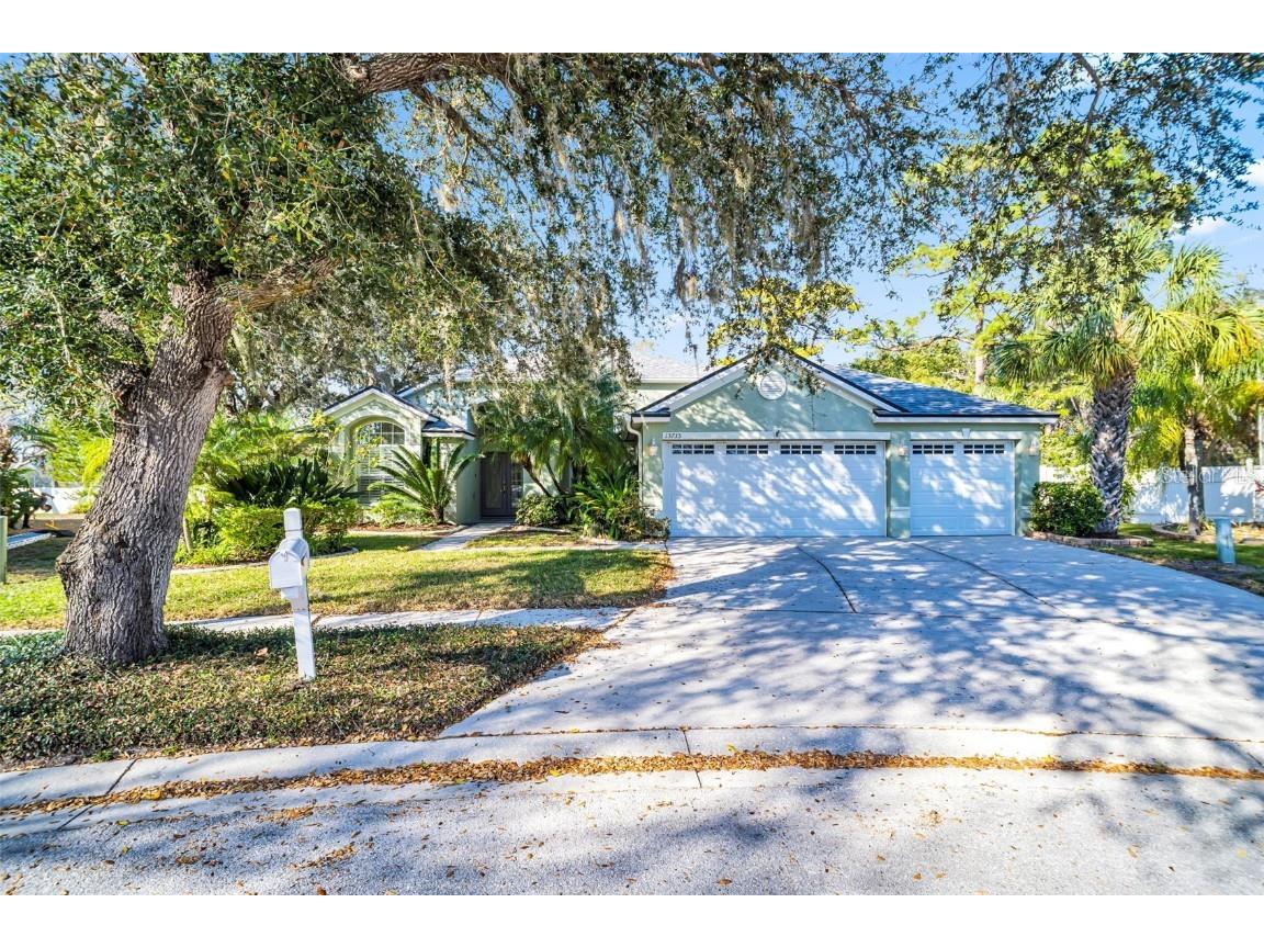 13735 Antler Point Drive Tampa FL 33626 TB8350508 image1