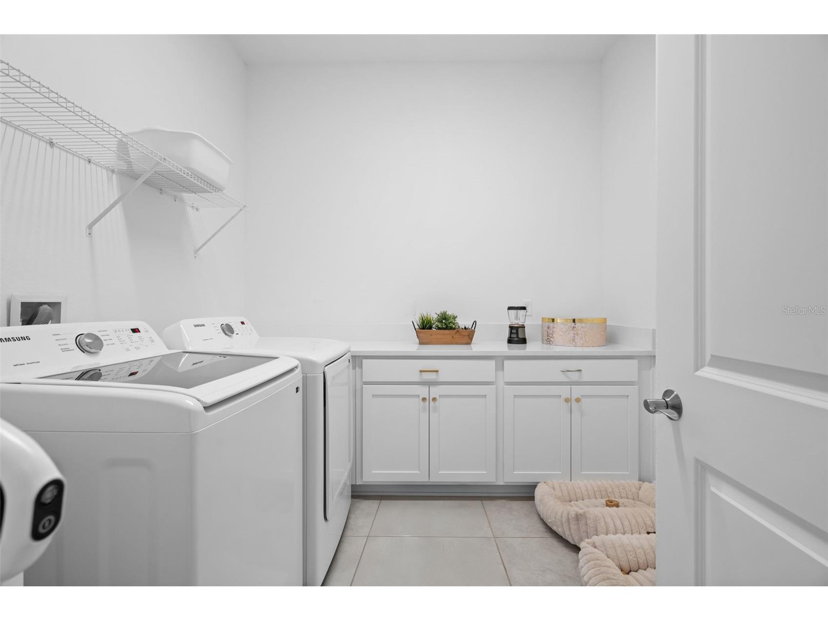 13736 Larkton Lane Orlando FL 32832 S5148127 image13