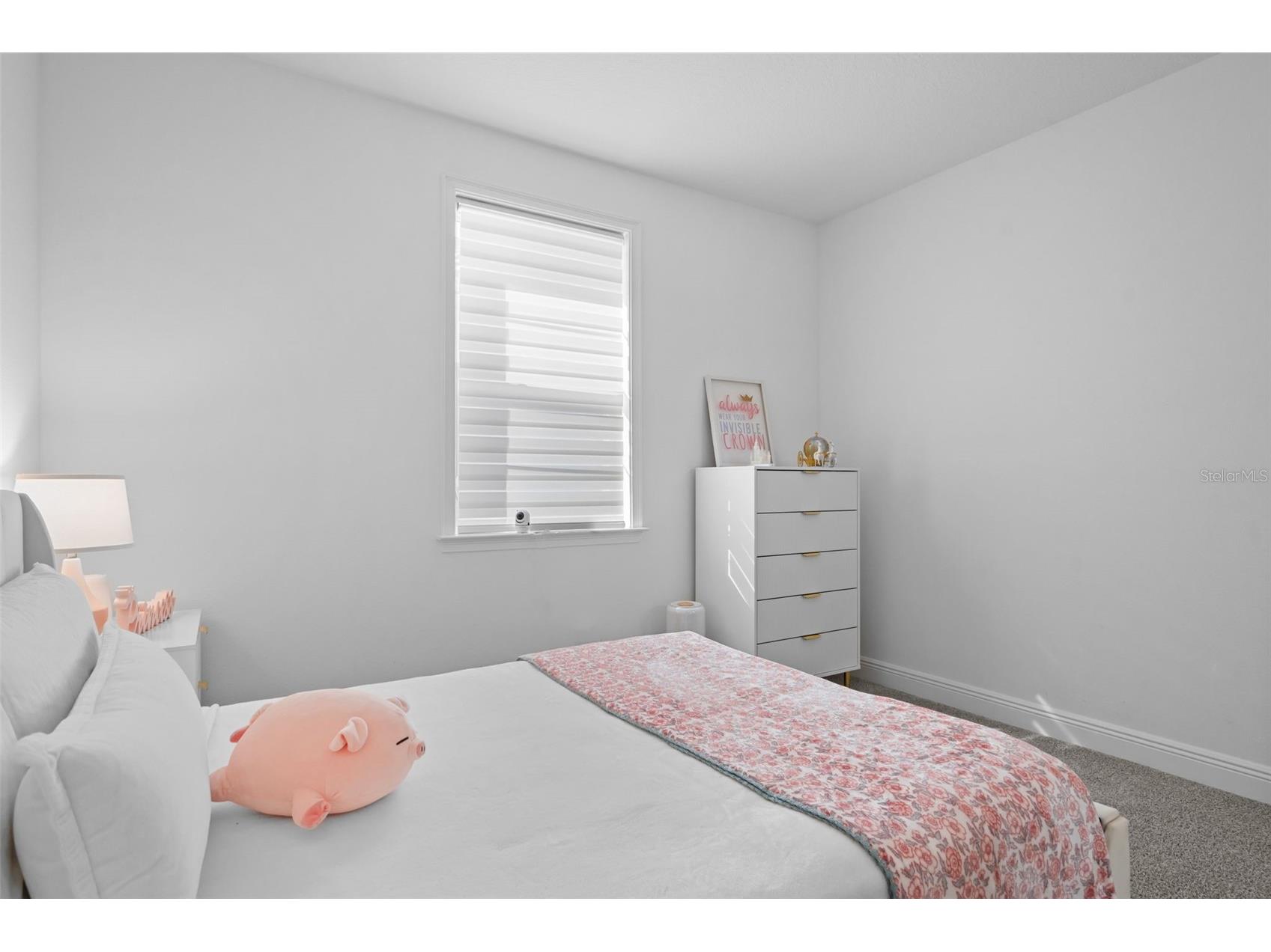 13736 Larkton Lane Orlando FL 32832 S5148130 image46