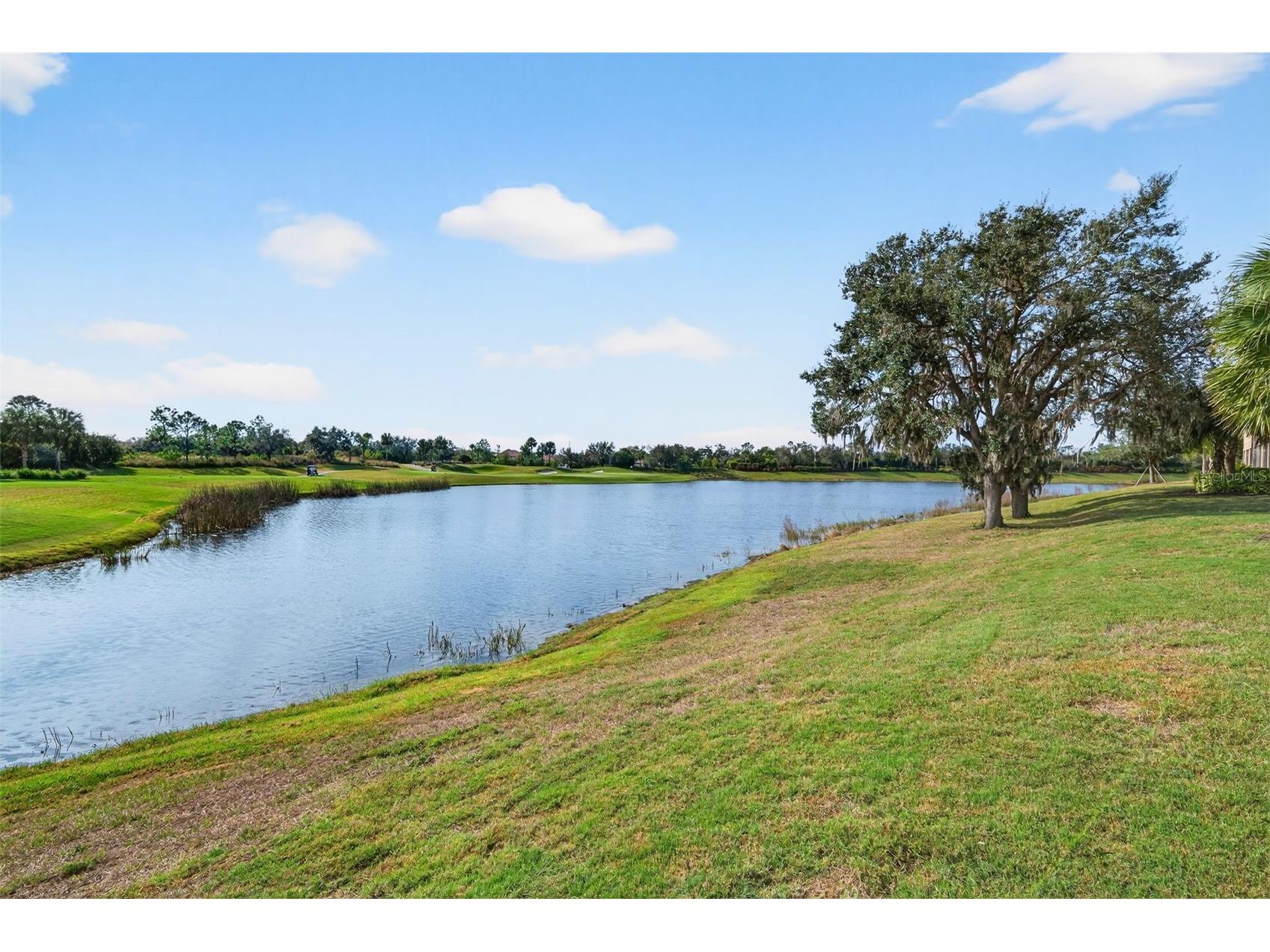 13738 Messina Loop #103 Bradenton FL 34211 A4679039 image54