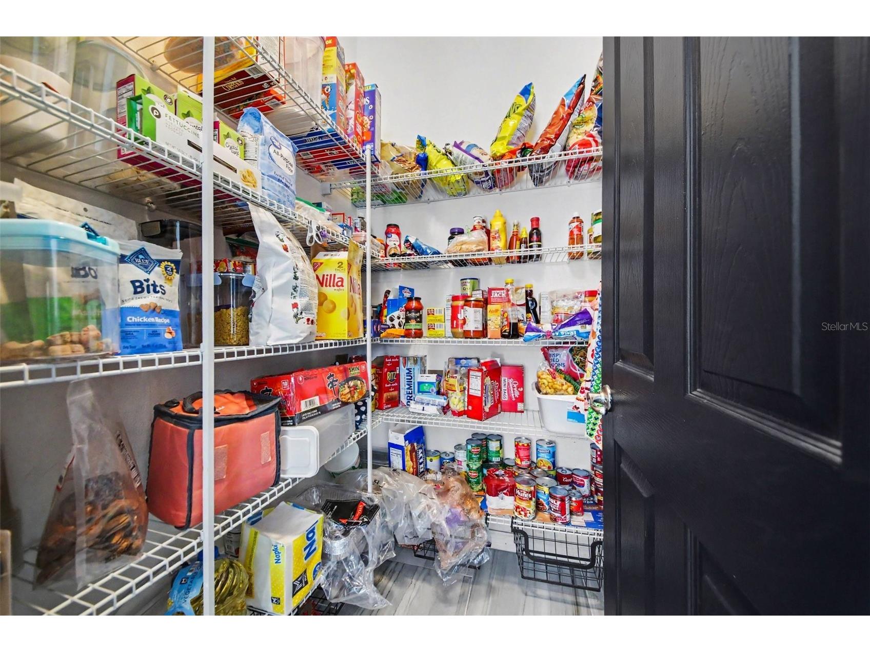 1374 Merion Drive Mount Dora FL 32757 O6422934 image20