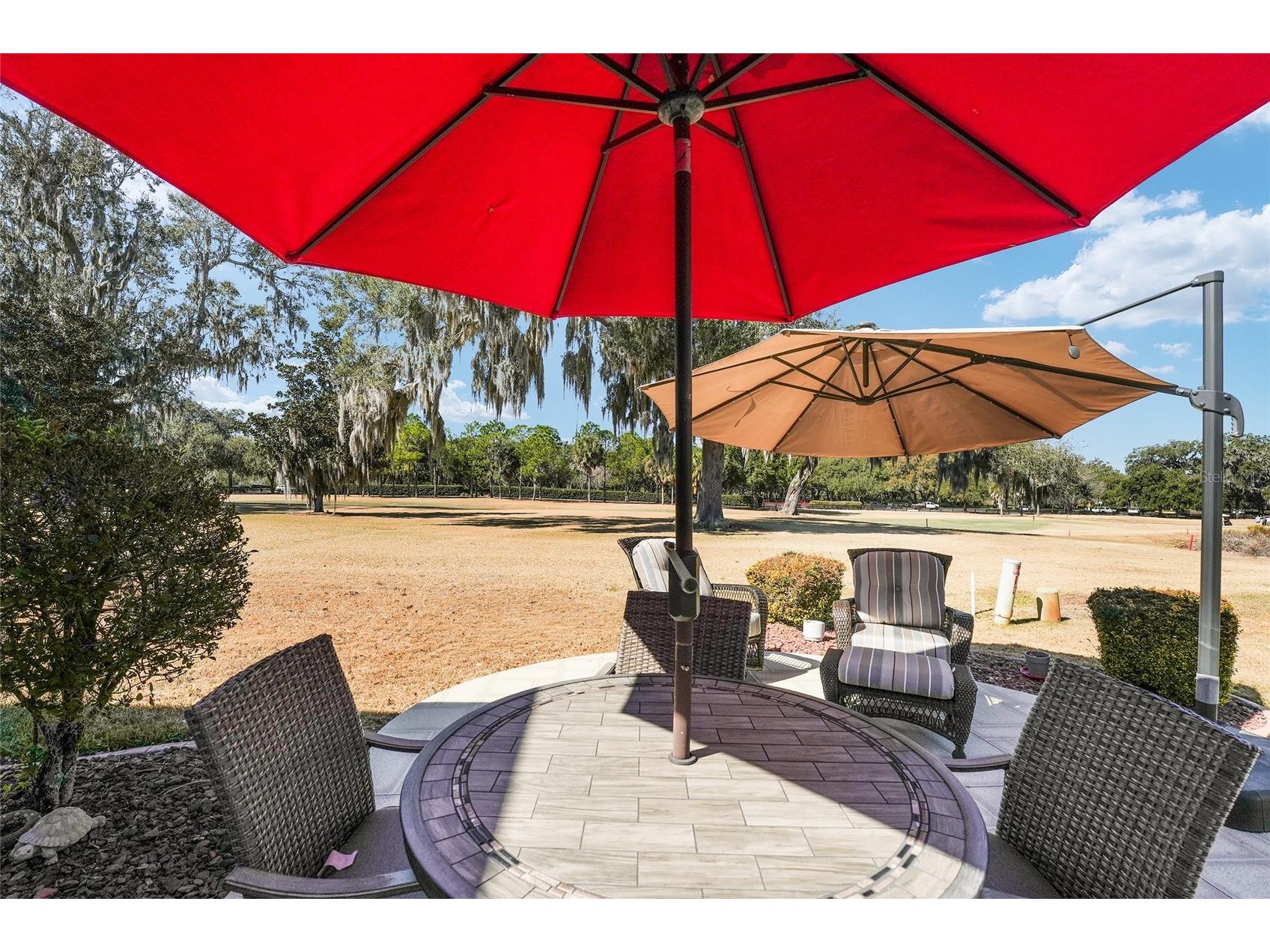 1374 Patrick Place The Villages FL 32162 G5106476 image34