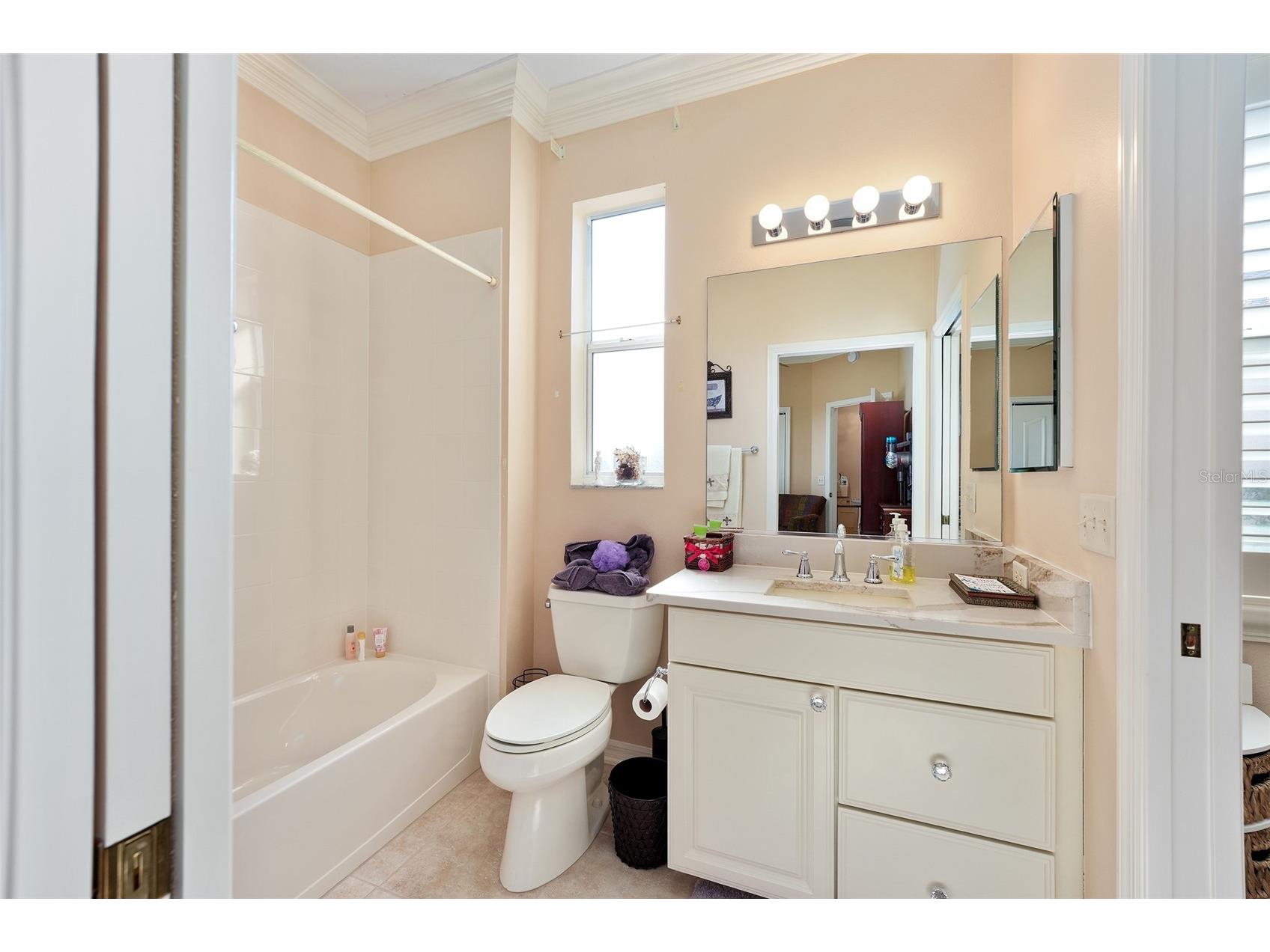 1374 Patrick Place The Villages FL 32162 G5106476 image72