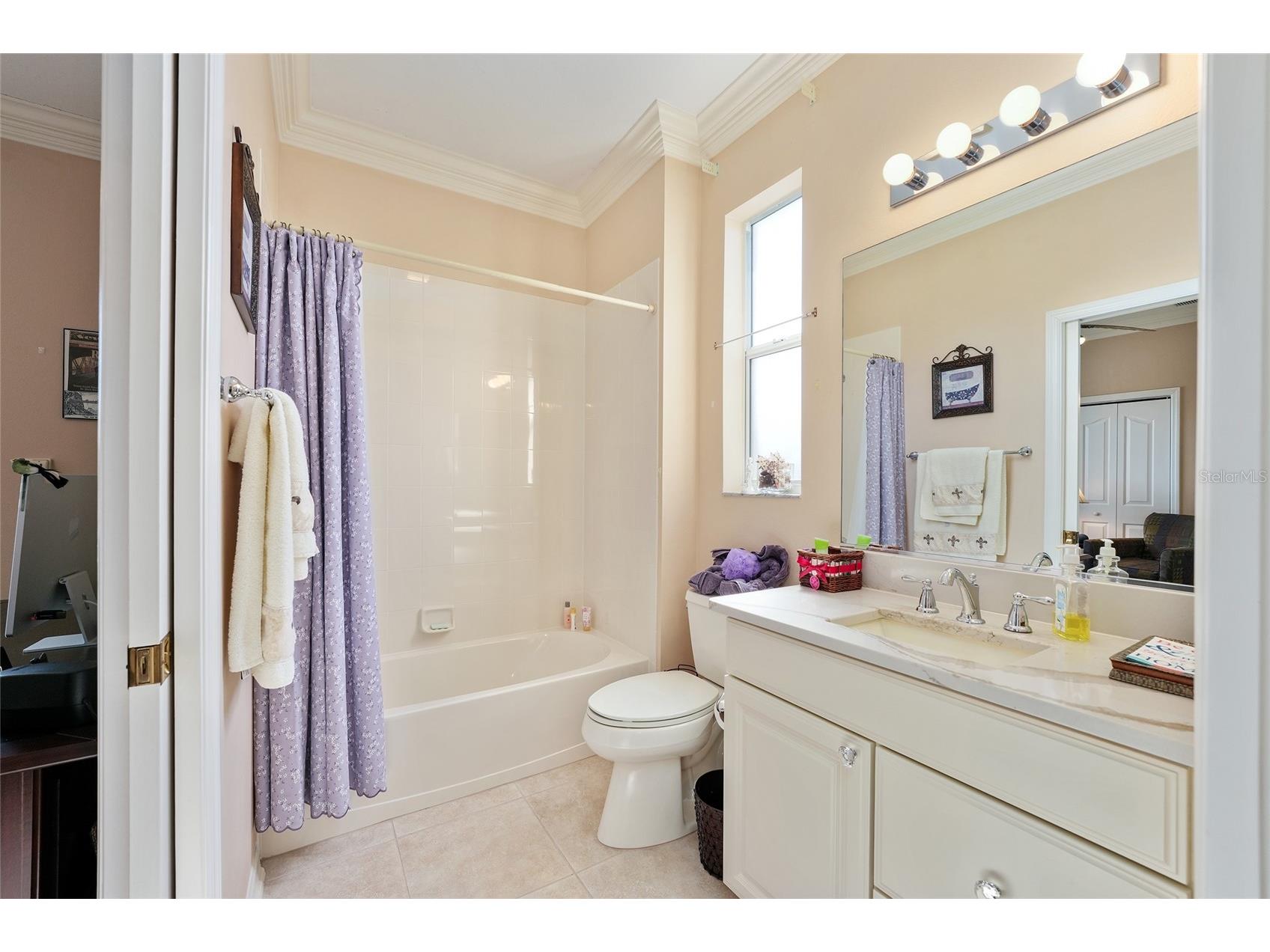 1374 Patrick Place The Villages FL 32162 G5106476 image73