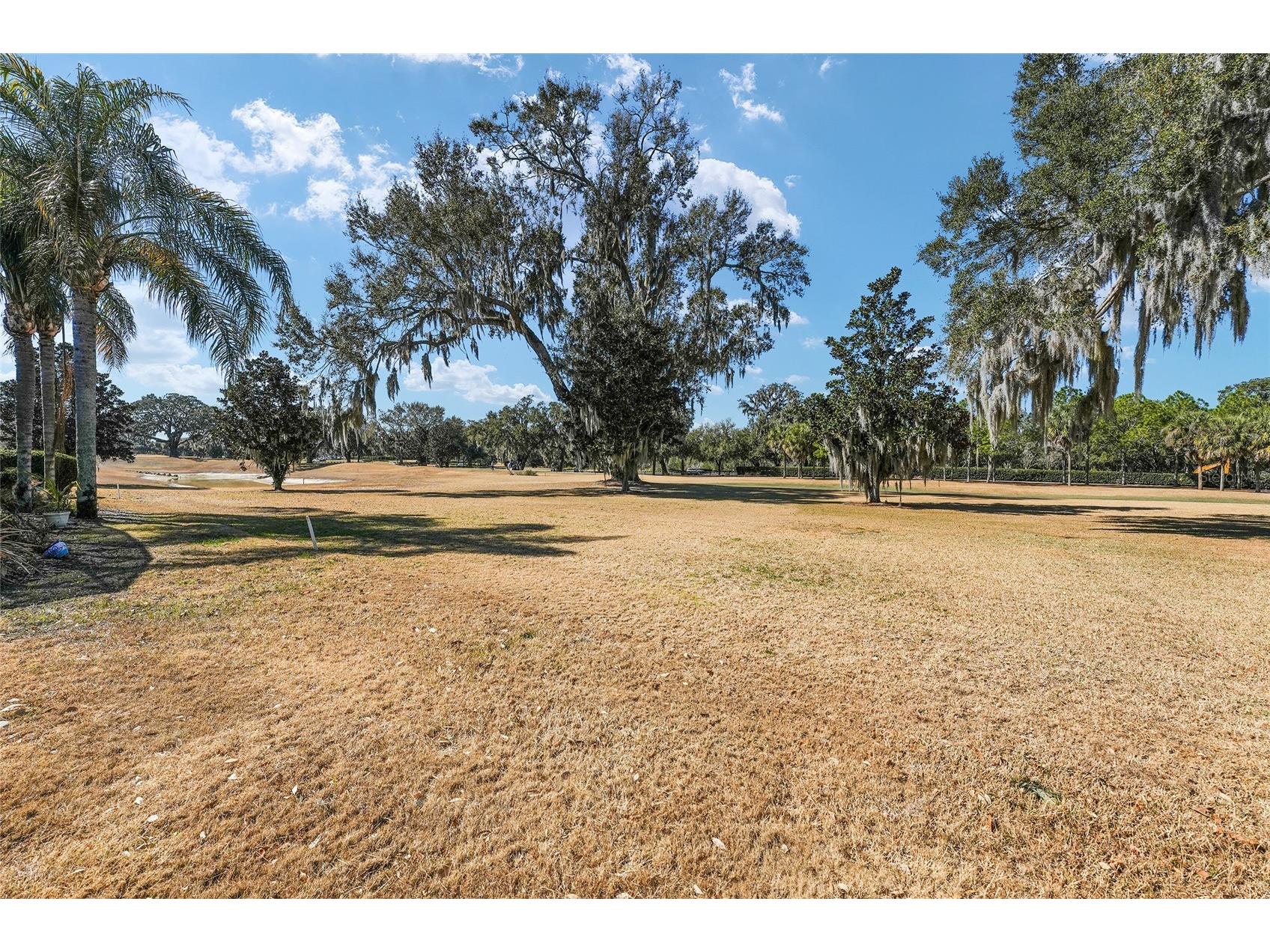 1374 Patrick Place The Villages FL 32162 G5106476 image81