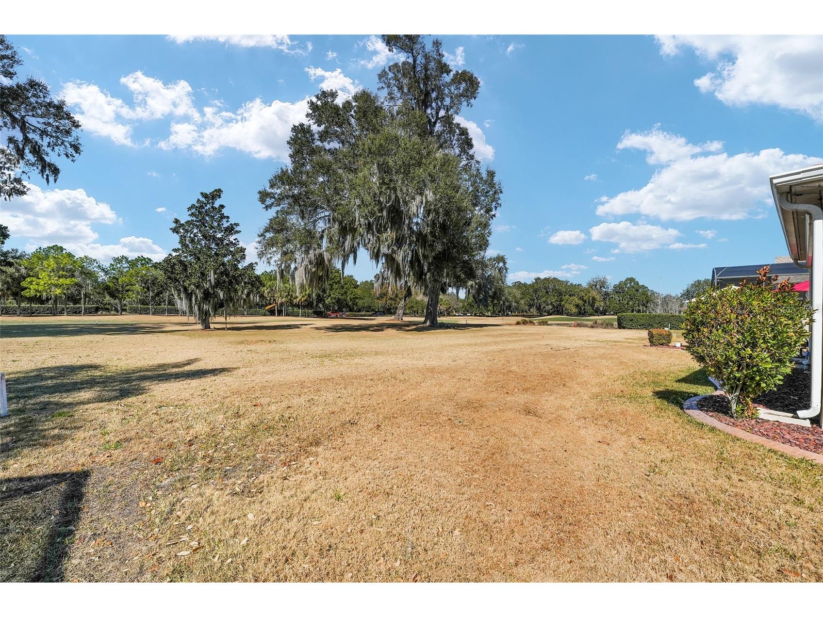 1374 Patrick Place The Villages FL 32162 G5106476 image84