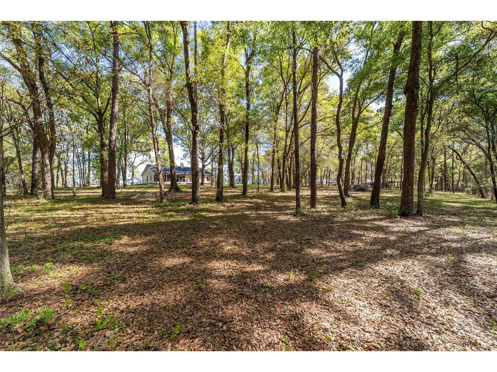 13740 SW 49th Place Ocala FL 34481 OM721234 image36