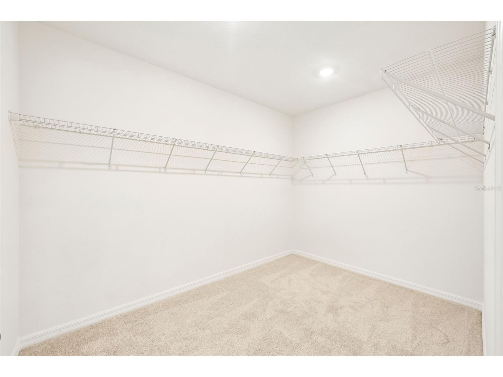 13741 Umber Forest Street Hudson FL 34669 TB8518103 image40