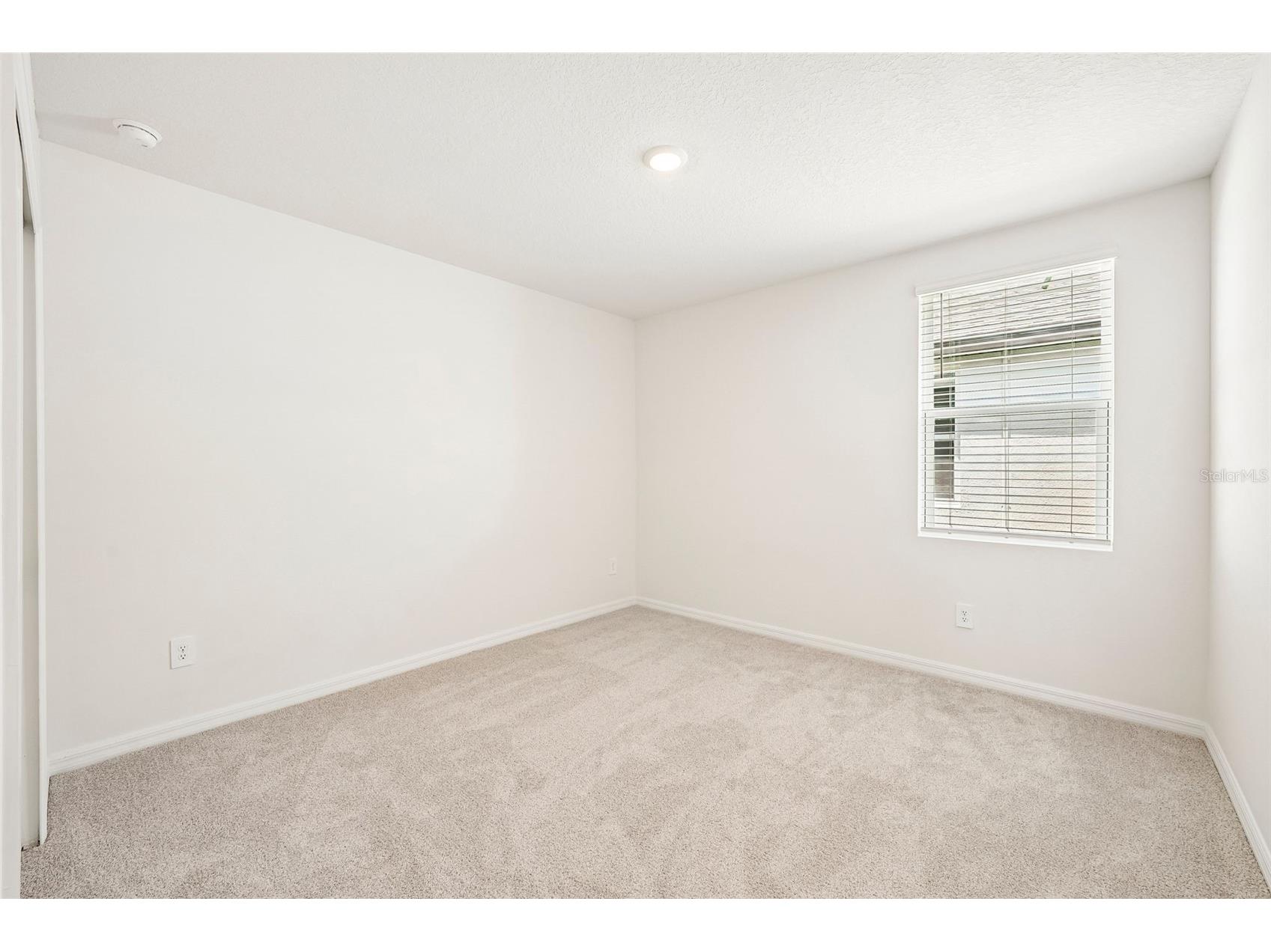 13741 Umber Forest Street Hudson FL 34669 TB8518103 image50