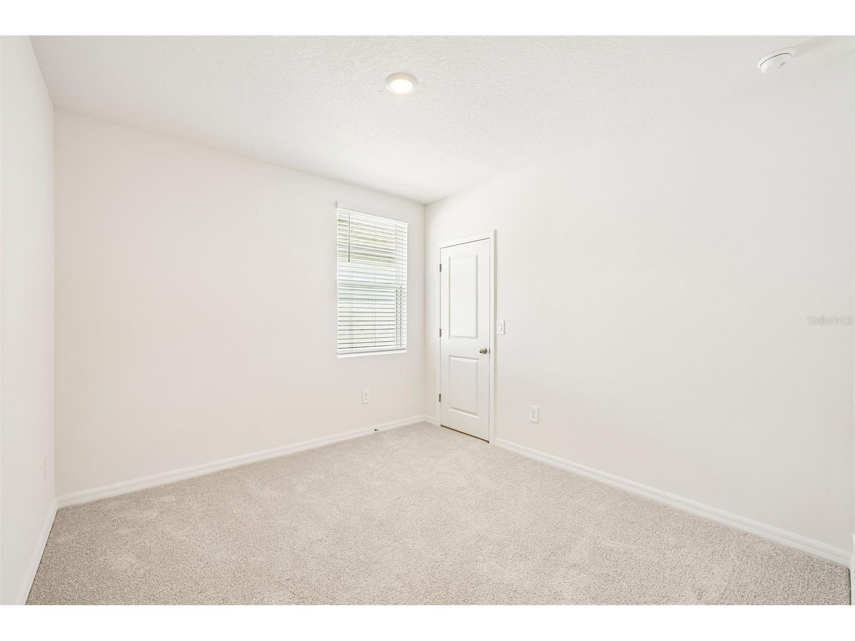 13741 Umber Forest Street Hudson FL 34669 TB8518103 image53
