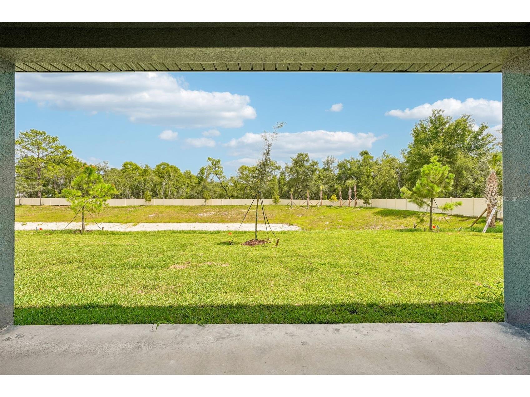13741 Umber Forest Street Hudson FL 34669 TB8518103 image57