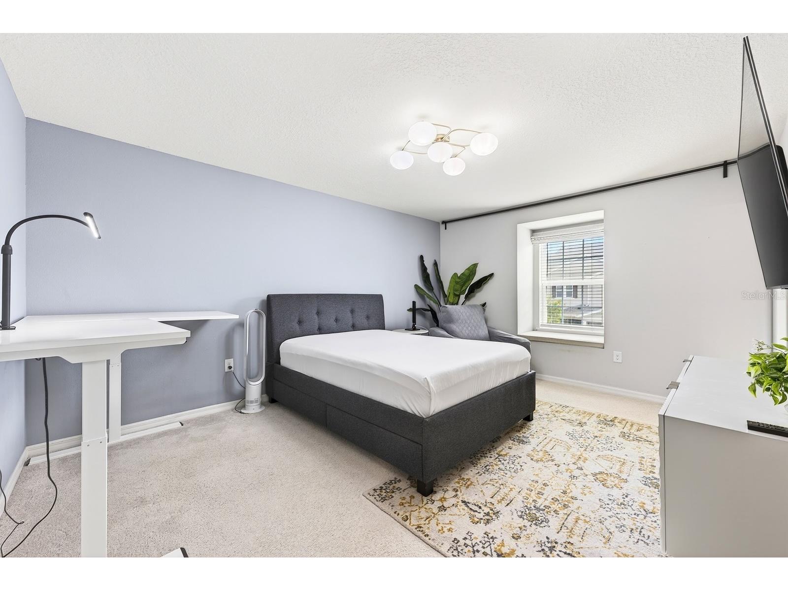 13743 Calera Alley Windermere FL 34786 O6413535 image17
