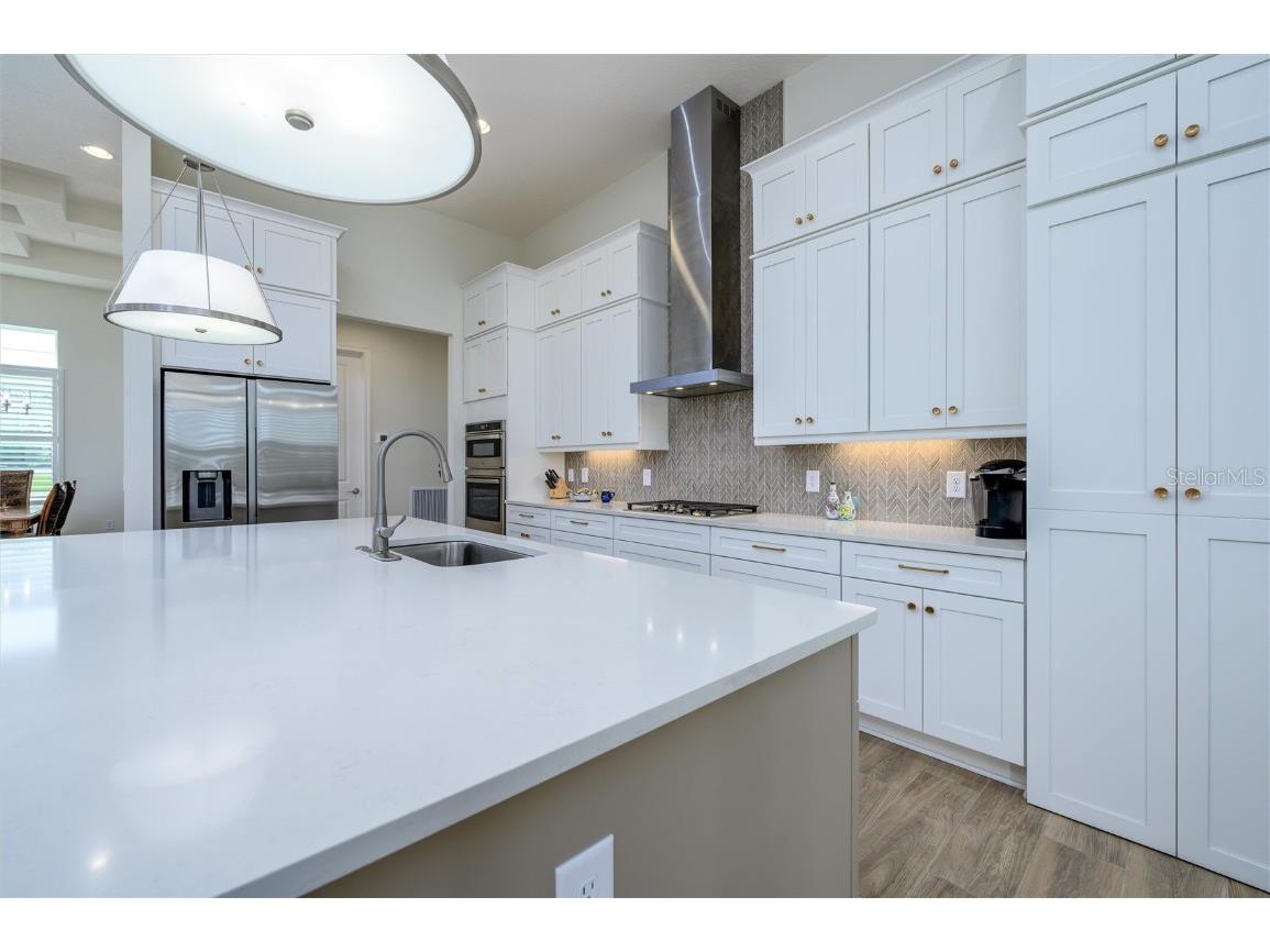 13744 Carryback Drive Dade City FL 33525 OM708554 image14