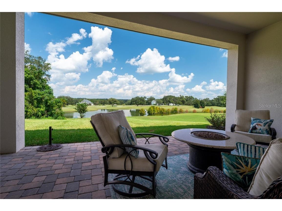 13744 Carryback Drive Dade City FL 33525 OM708554 image35