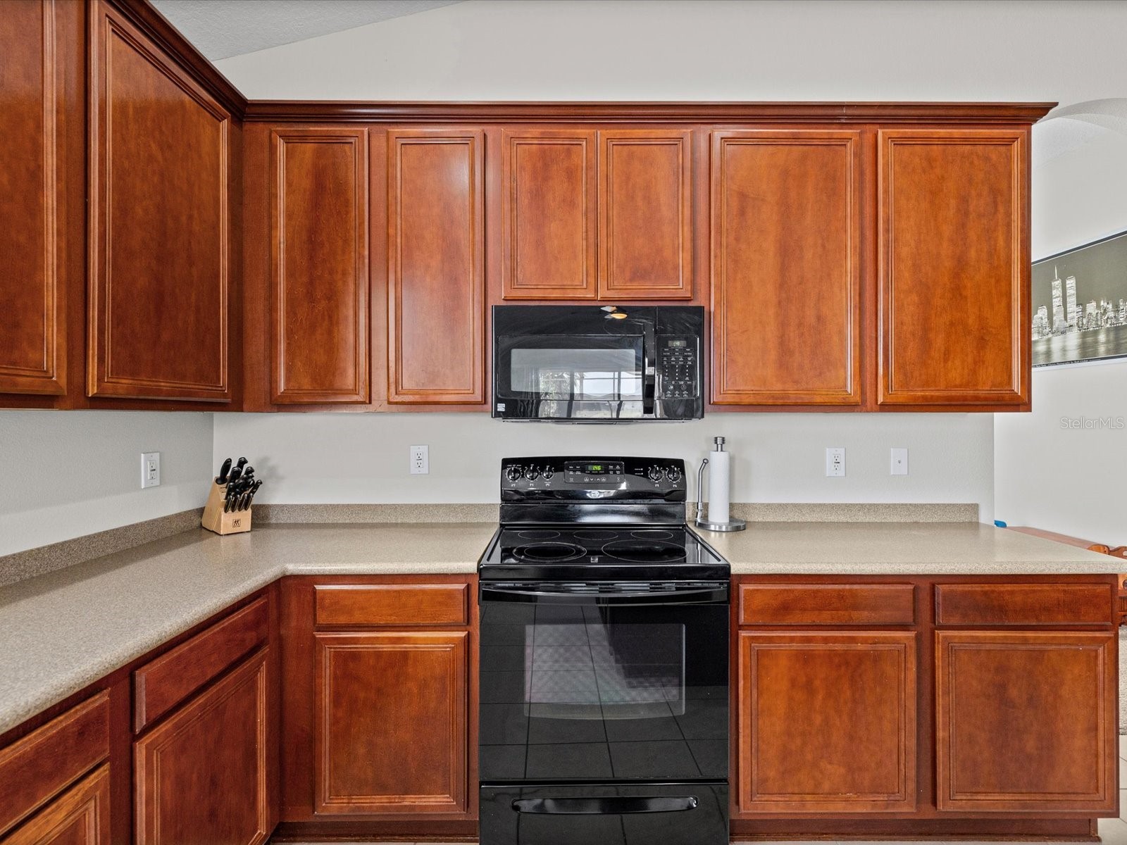 13744 Trull Way Hudson FL 34669 W7884793 image28