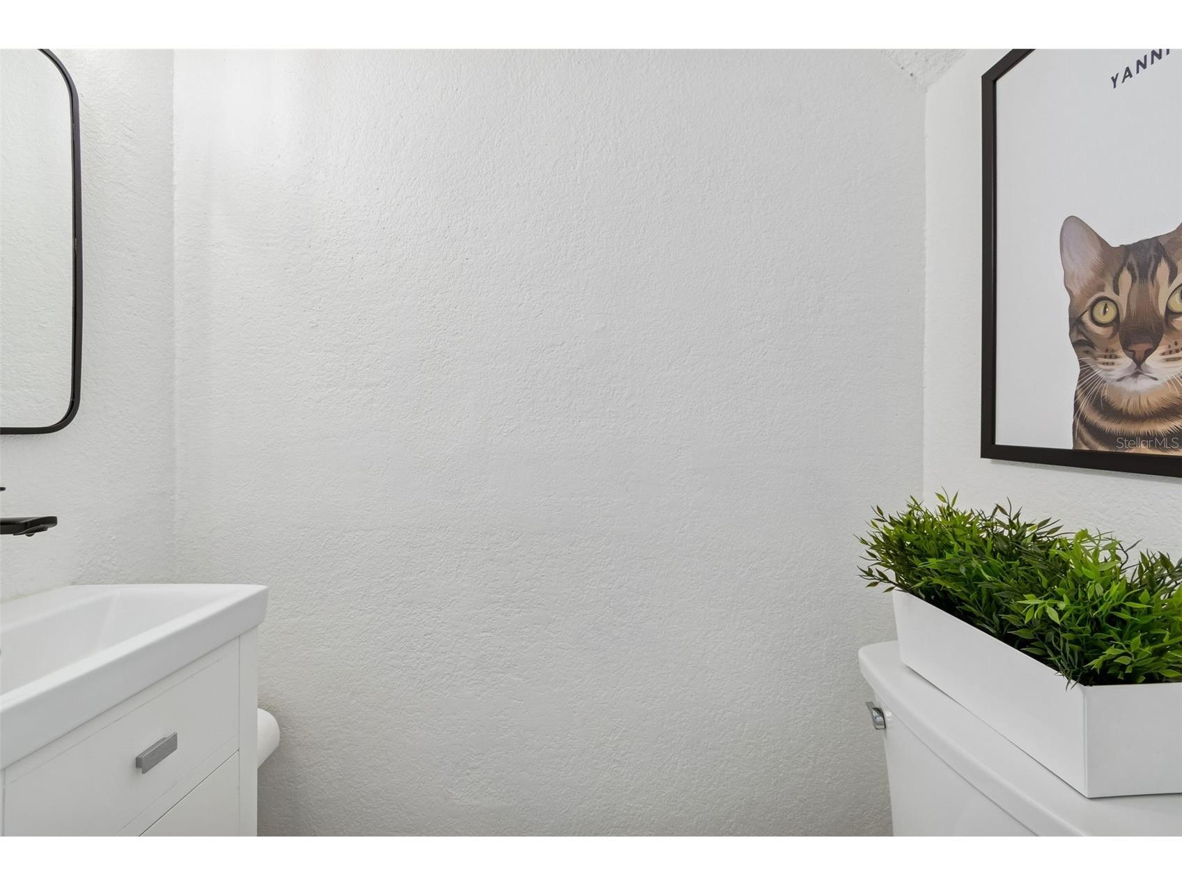 13747 Juniper Blossom Drive Tampa FL 33618 TB8477820 image22
