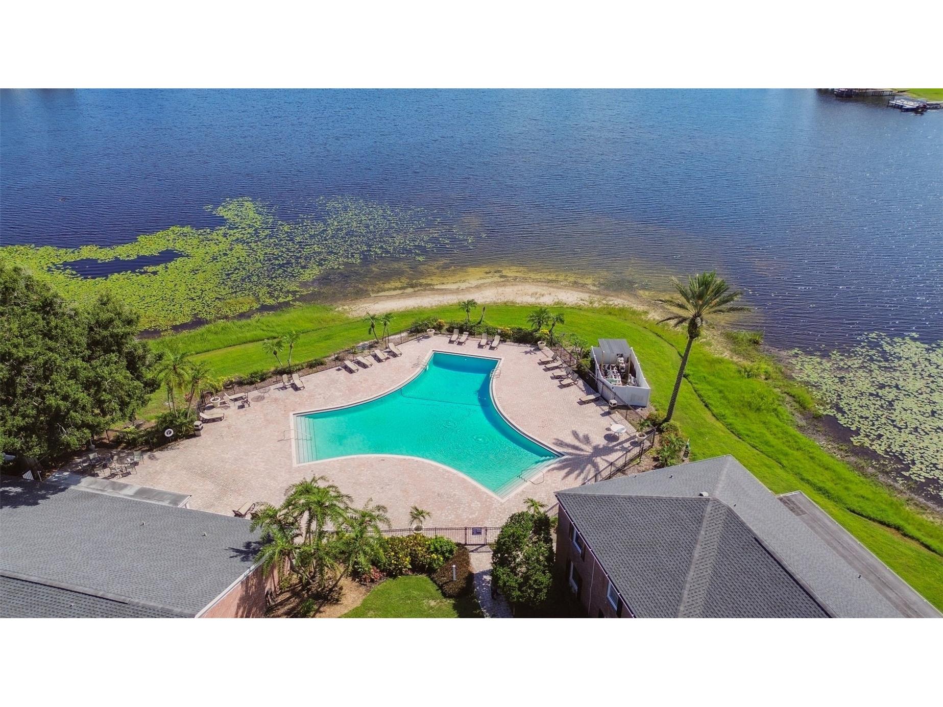 13747 Juniper Blossom Drive Tampa FL 33618 TB8477820 image58