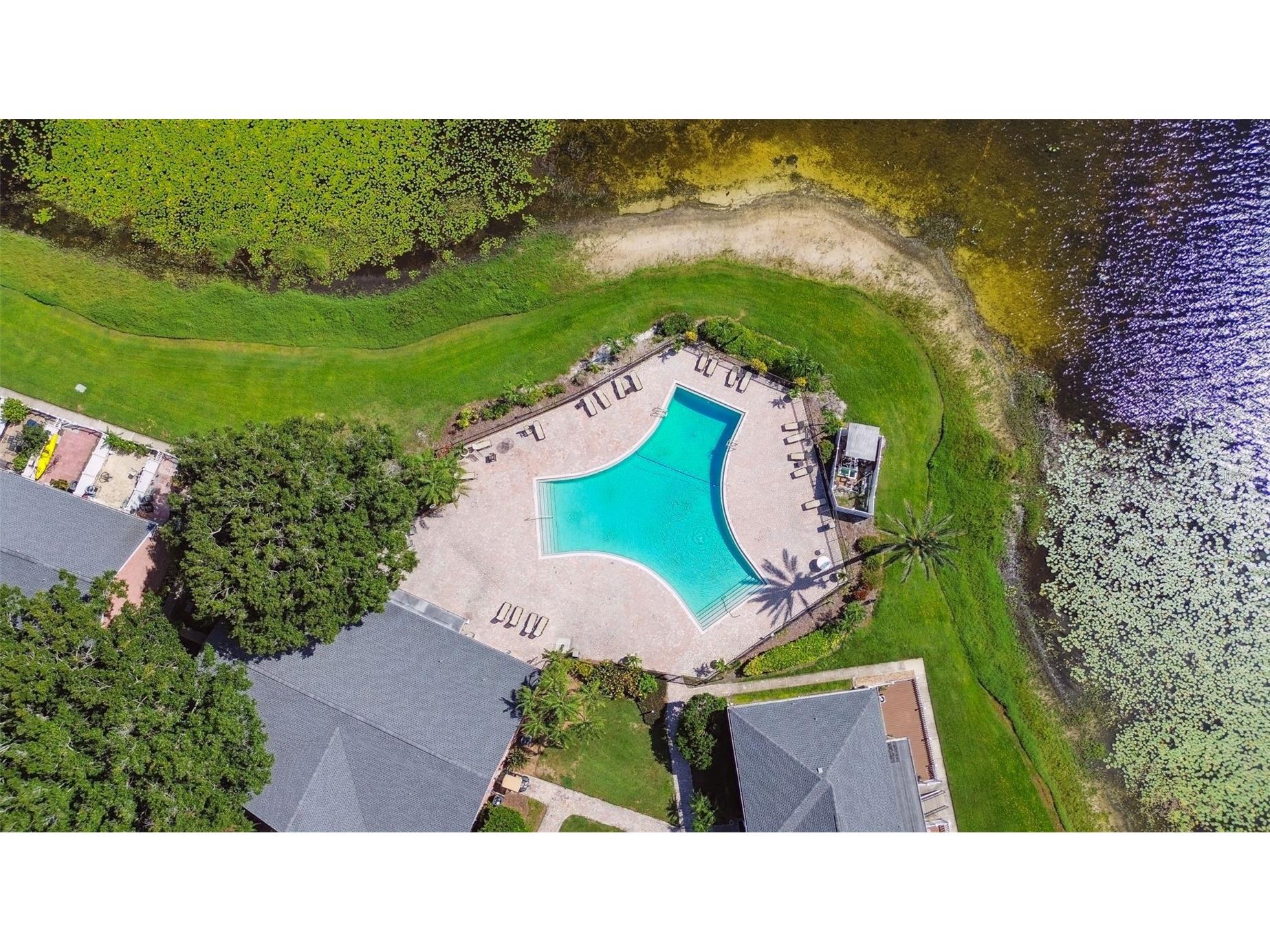 13747 Juniper Blossom Drive Tampa FL 33618 TB8477820 image59