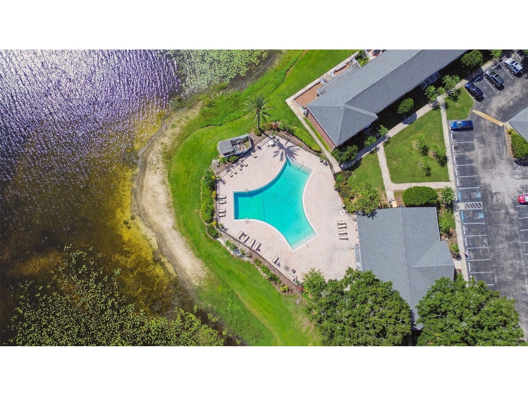 13747 Juniper Blossom Drive Tampa FL 33618 TB8477820 image60