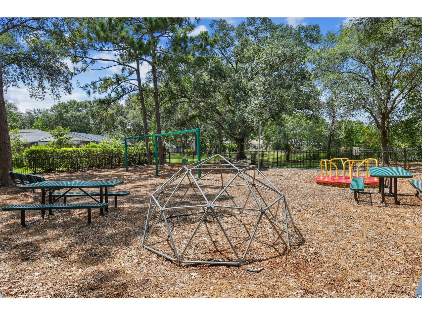 13747 Juniper Blossom Drive Tampa FL 33618 TB8477820 image61