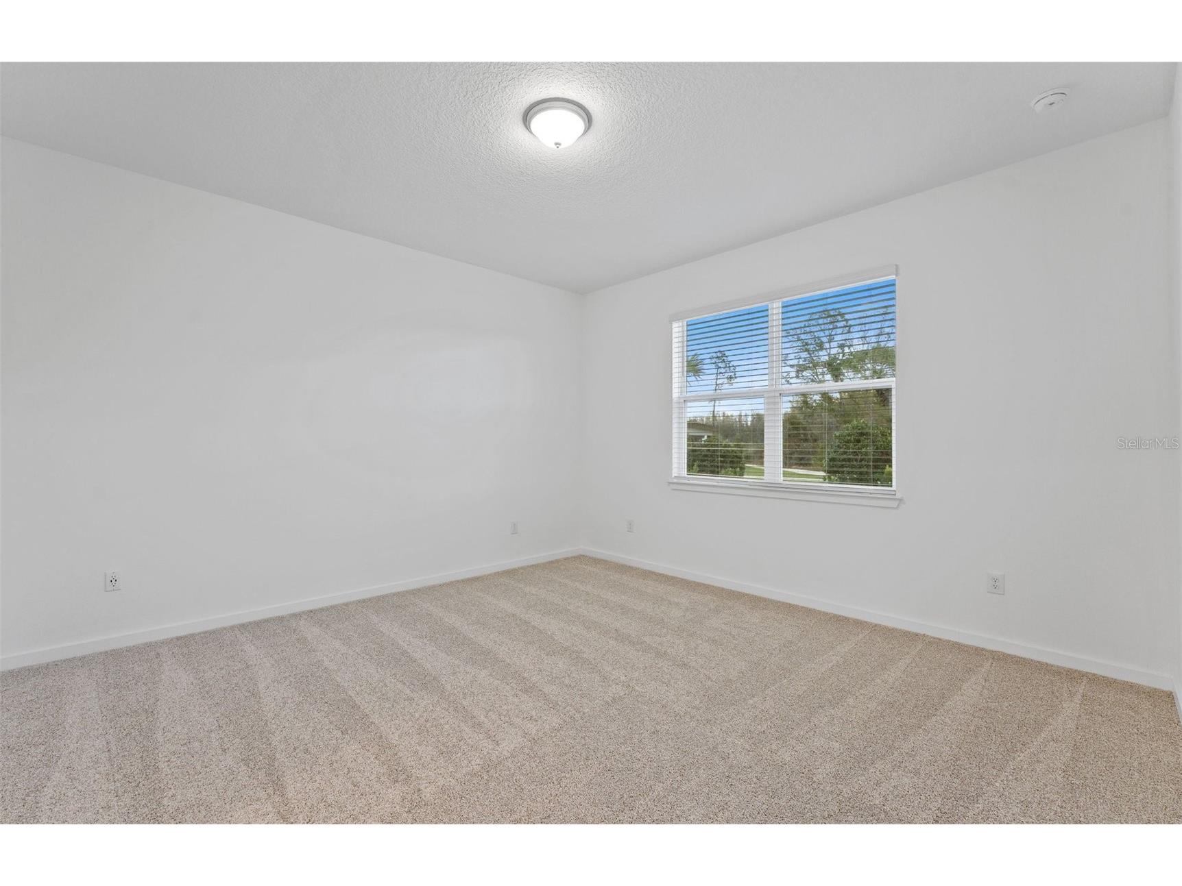 13748 Rocky Pine Place Spring Hill FL 34610 TB8429582 image9