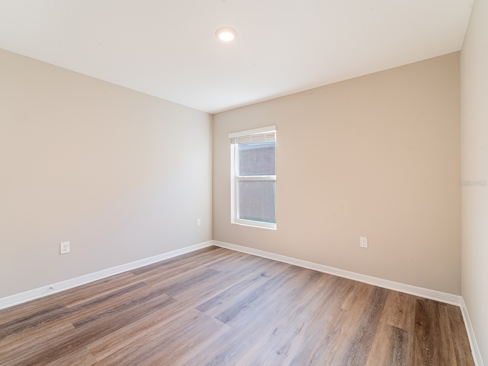 13748 Wineberry Drive Dade City FL 33525 TB8448562 image29