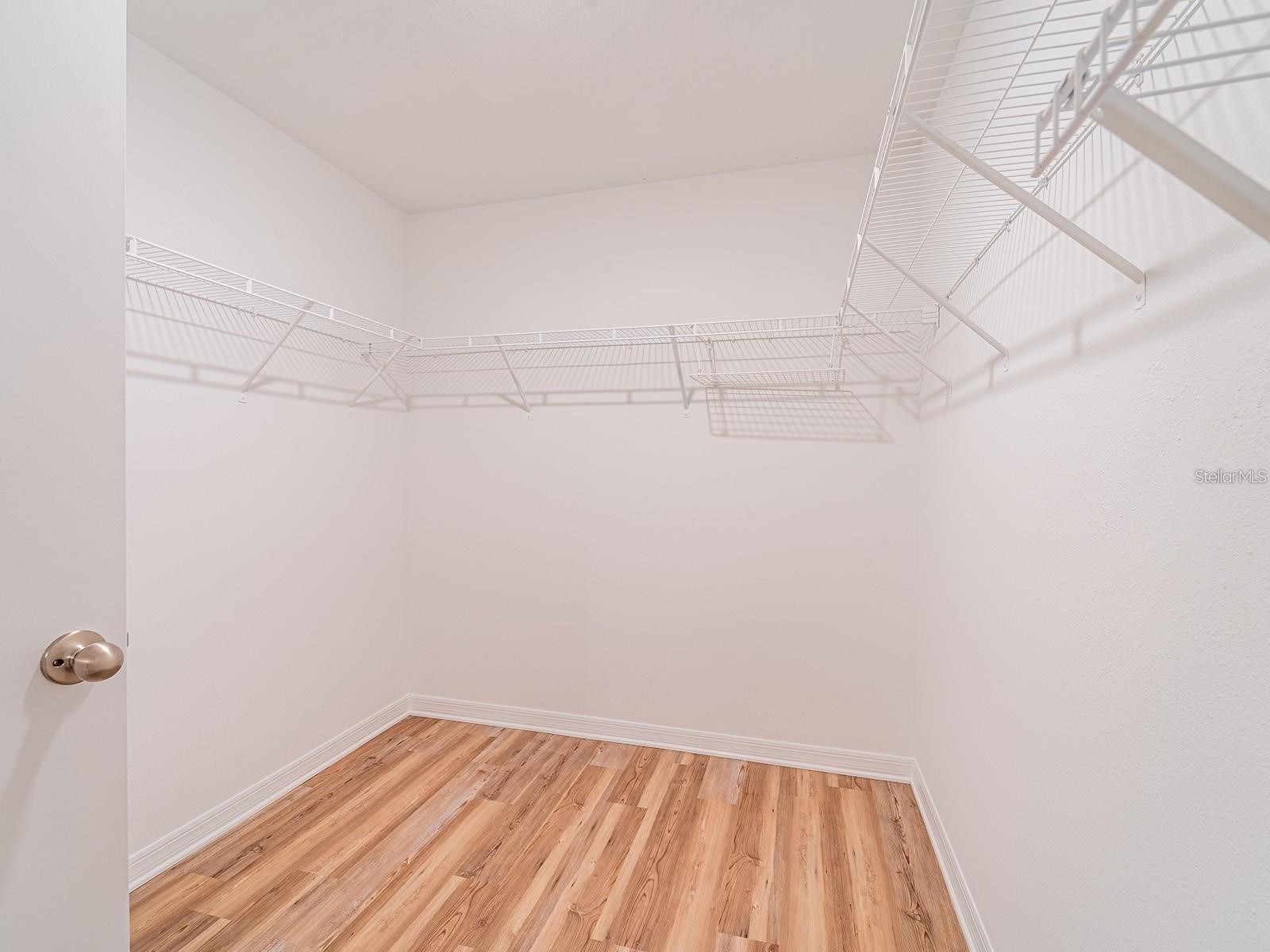 13748 Wineberry Drive Dade City FL 33525 TB8464507 image27