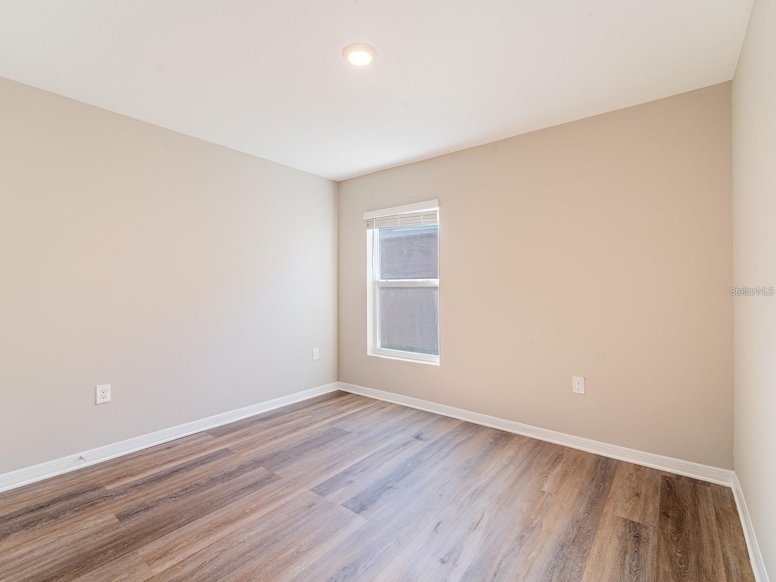 13748 Wineberry Drive Dade City FL 33525 TB8464507 image29