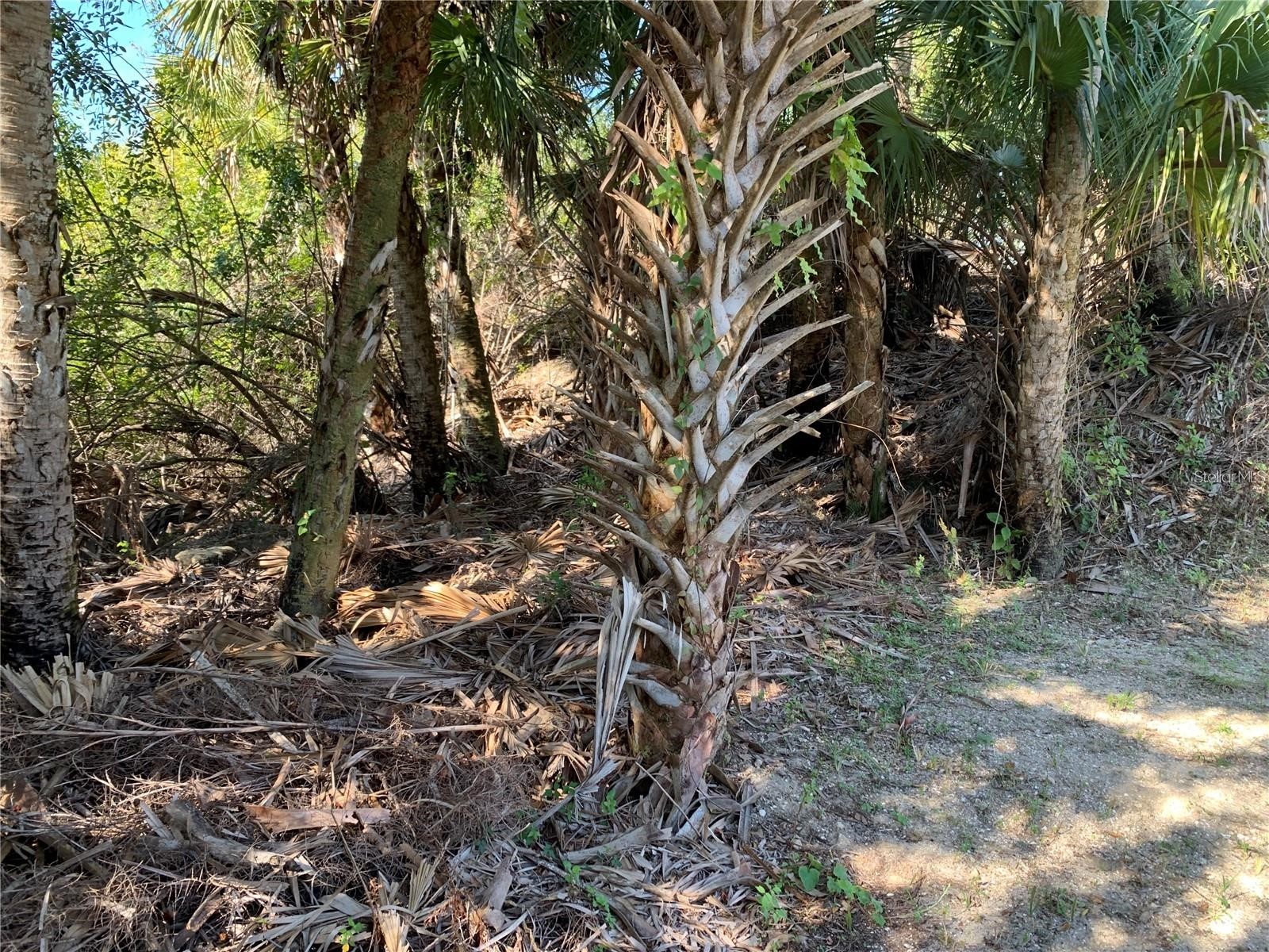1375 Clearview Drive Port Charlotte FL 33953 C7524289 image14