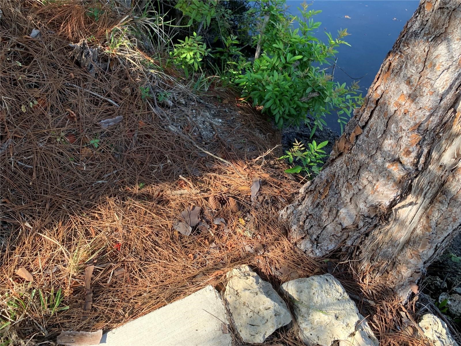 1375 Clearview Drive Port Charlotte FL 33953 C7524289 image19