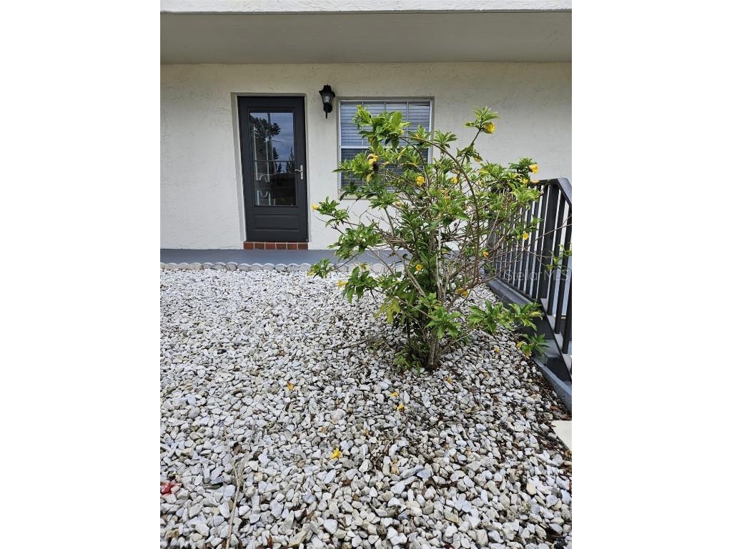 1375 Doolittle Lane #102 Dunedin FL 34698 U8201882 image1