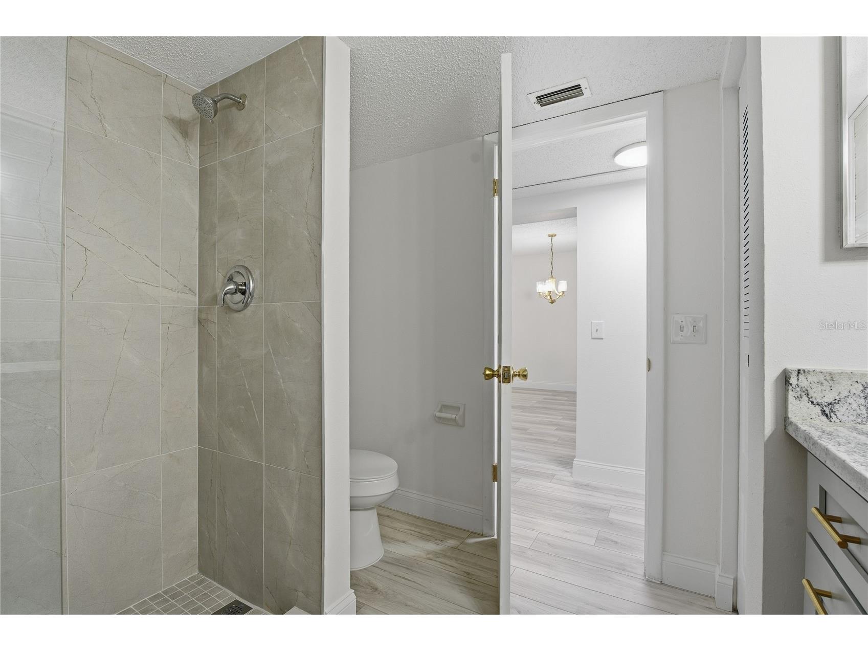 1375 Doolittle Lane #103 Dunedin FL 34698 TB8465322 image18