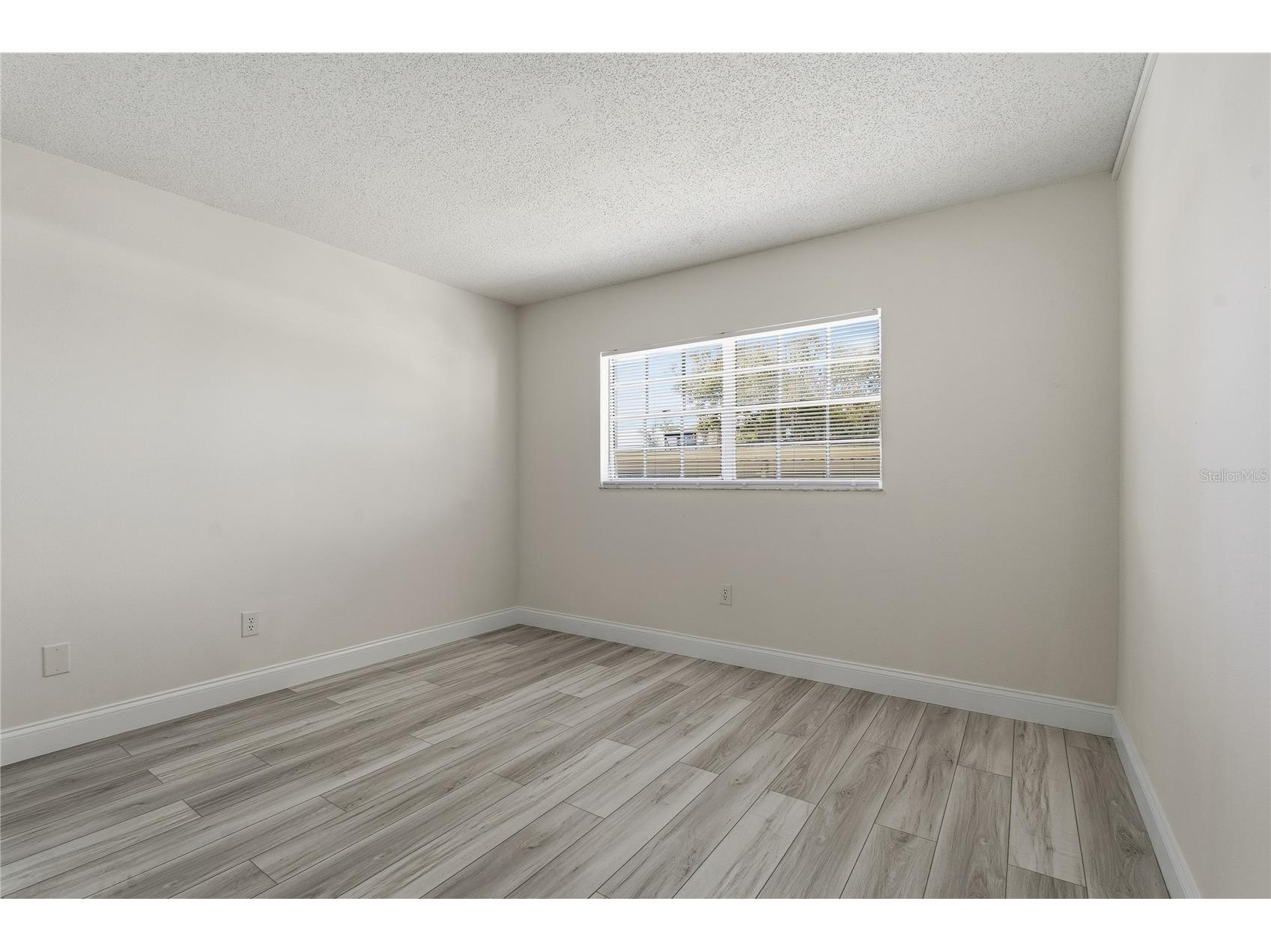 1375 Doolittle Lane #103 Dunedin FL 34698 TB8465322 image19