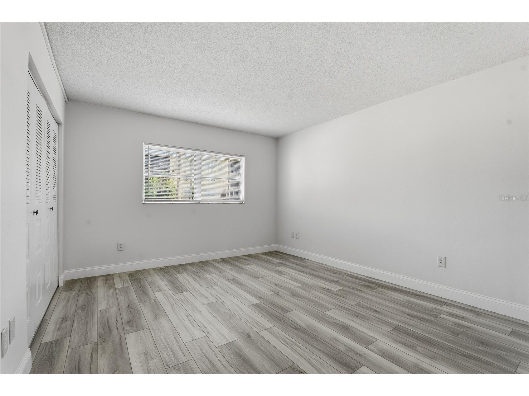 1375 Doolittle Lane #103 Dunedin FL 34698 TB8465322 image21
