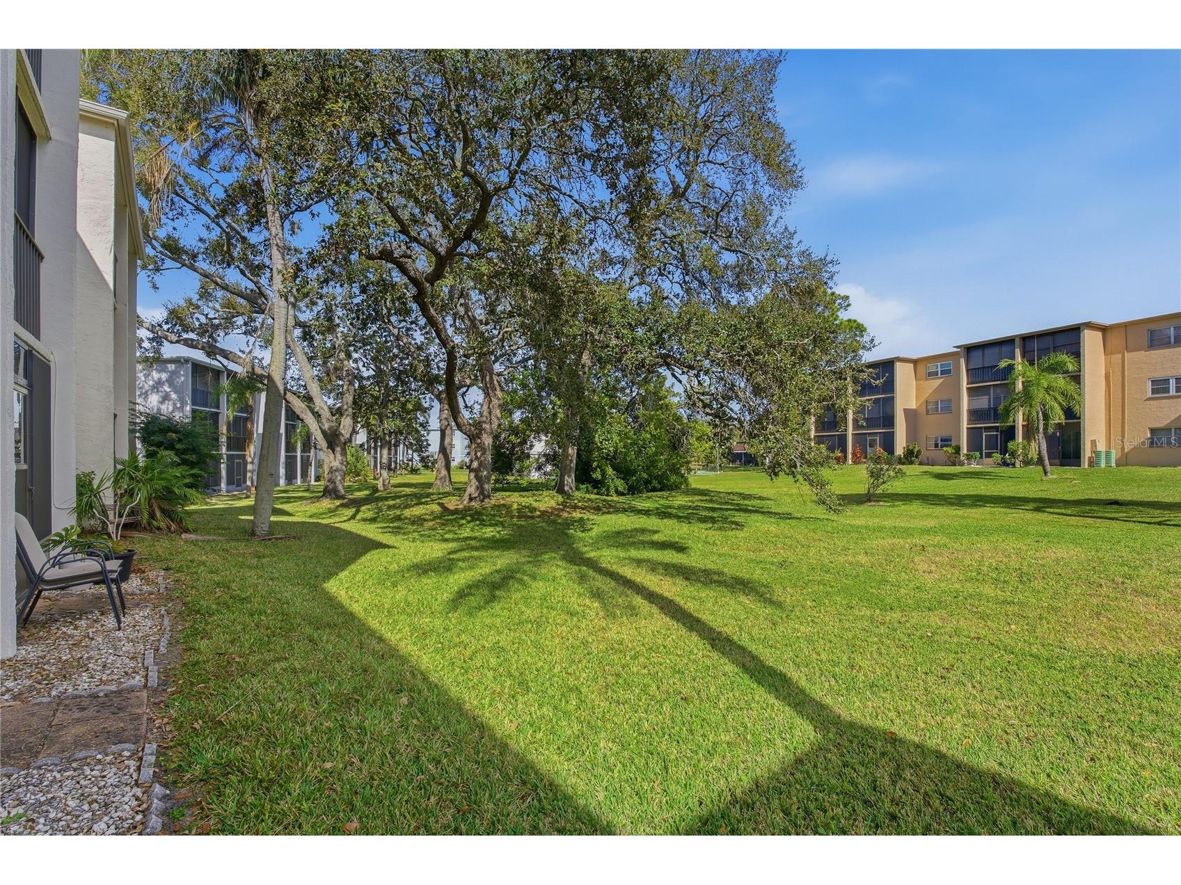 1375 Doolittle Lane #103 Dunedin FL 34698 TB8465322 image30