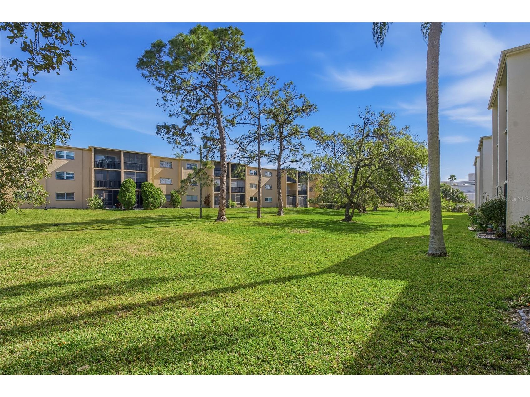 1375 Doolittle Lane #103 Dunedin FL 34698 TB8465322 image32