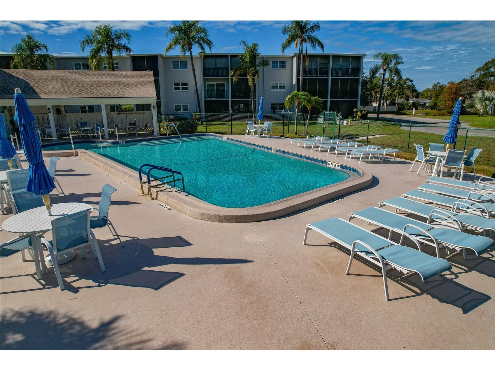 1375 Doolittle Lane #103 Dunedin FL 34698 TB8465322 image35