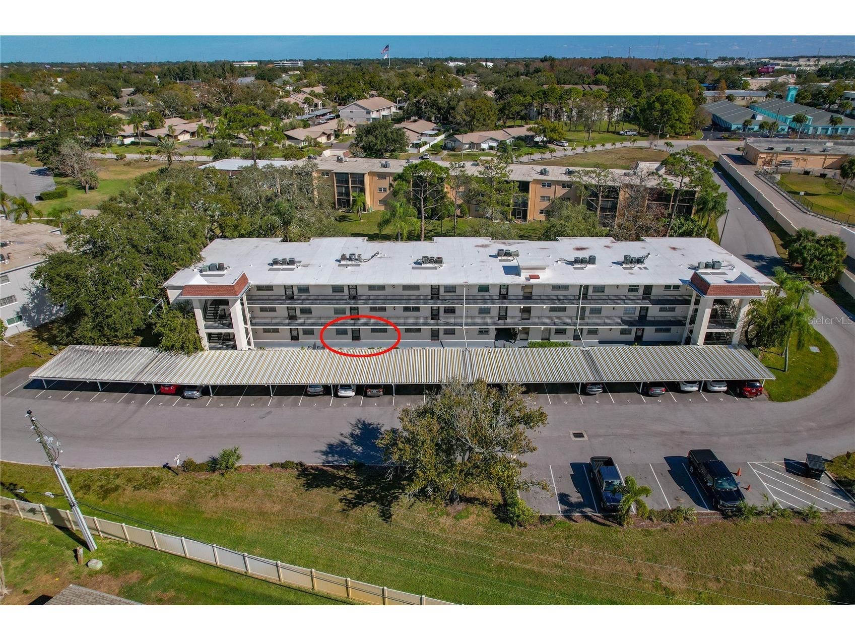 1375 Doolittle Lane #103 Dunedin FL 34698 TB8465322 image39