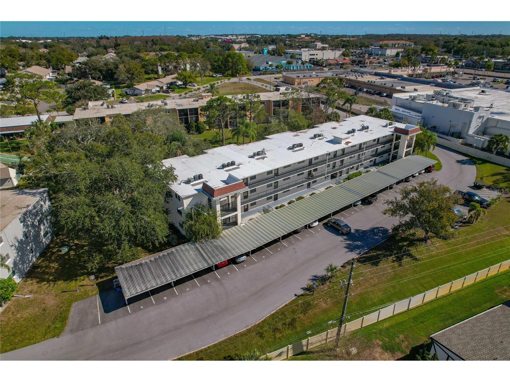 1375 Doolittle Lane #103 Dunedin FL 34698 TB8465322 image46