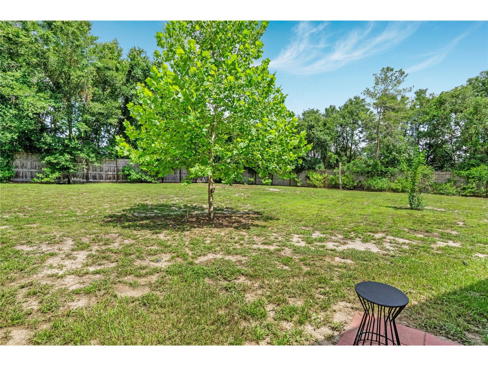 1375 Louis Court Deland FL 32720 V4950076 image43