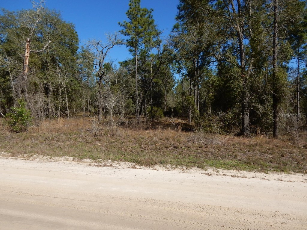 13751 NE 5th Street Williston FL 32696 OM654402 image1