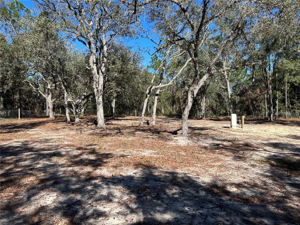 13751 NE 5th Street Williston FL 32696 OM715025 image4