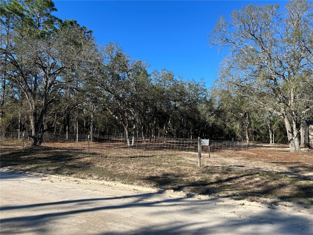 13751 NE 5th Street Williston FL 32696 OM715025 image7