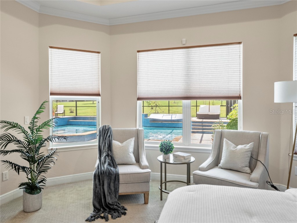 13753 Carryback Drive Dade City FL 33525 TB8417527 image62